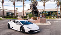 Huracan 12-Piece Carbon Fiber Trim Package | Performante Wing + Decklid